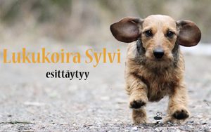 Kirjastokaista_ohjelmasarjat_sylvi_pikkukuva