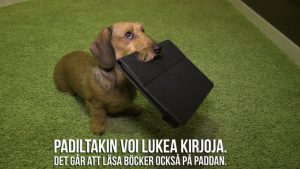 koko_kansa_lukee_sylvi