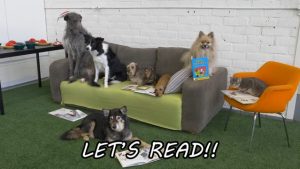 READing_Dog_Sylvi_and_her_book_club