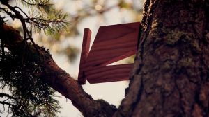 Kirjastokaista_puinen_logo_puussa