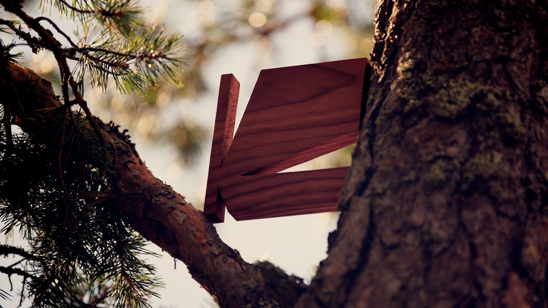 Kirjastokaista_puinen_logo_puussa